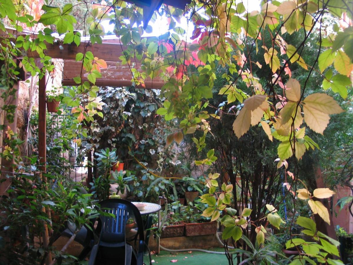 Bed and Breakfast The Garden Sferracavallo Pokój zdjęcie